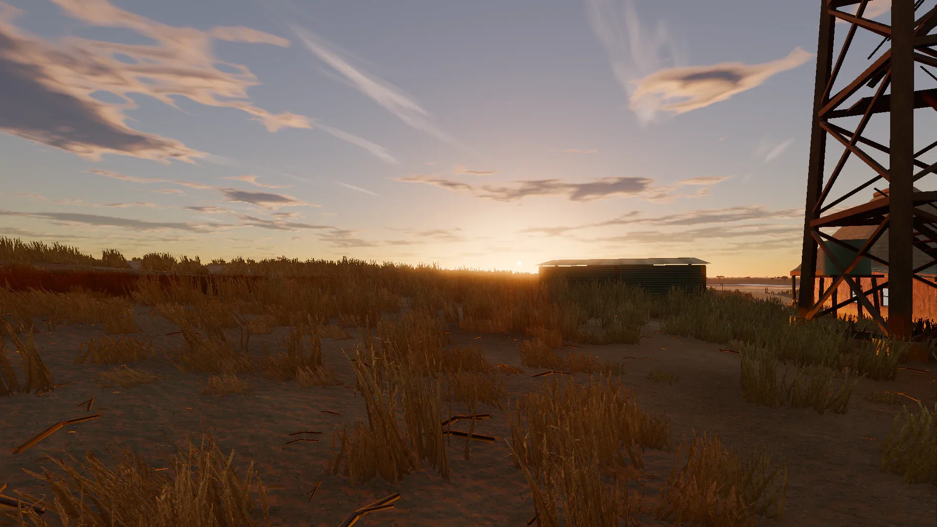 Dry grass and a water tower near Maun at sunset